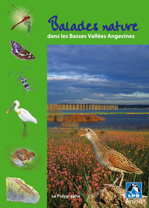 Balades nature dans les Basses Vallées Angevines par Olivier Loir & Collectif LPO/Patrick Amara